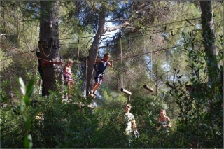 En el puente de un arbol a otro